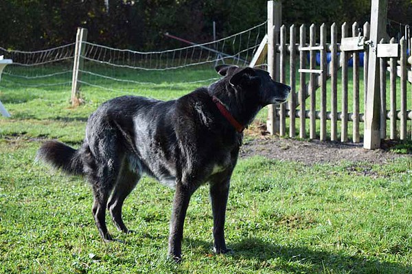 med_Luis - ja bitte.jpg (600 x 400)